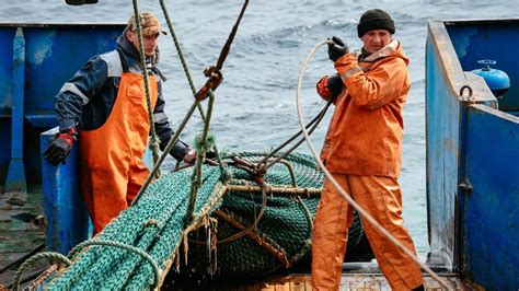 Fishing Boat And Crew Jobs .